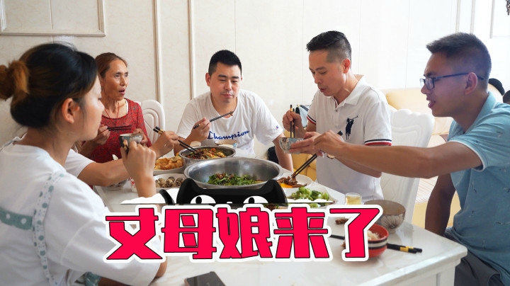 大姐炖牛肉做凉拌鸡,小厨今天蹭饭吃过瘾 超小厨 663