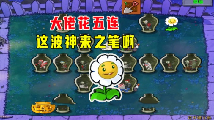 植物大战僵尸:花开罐无影(下,大佬花五连,这波神来之笔