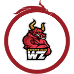 东莞Wz