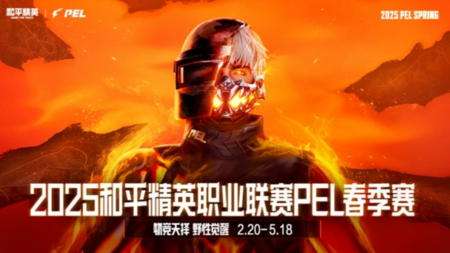 2025和平精英PEL 春季赛 常规赛 第二天第2局 TC WIN