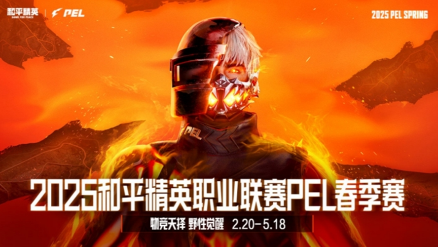2025和平精英PEL 春季赛 常规赛 第九天第2局 DRG WIN