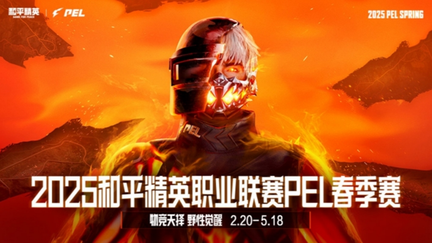 2025和平精英PEL 春季赛 季后赛 第三天第3局 RSG WIN