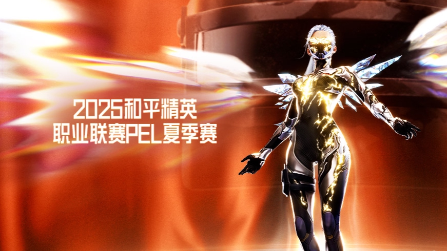 2025PEL夏季赛 常规赛 第二天第3局 RW WIN