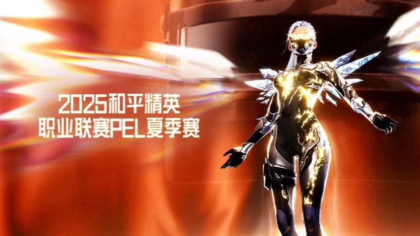 2025PEL夏季赛 常规赛 第六天第3局 4AM WIN