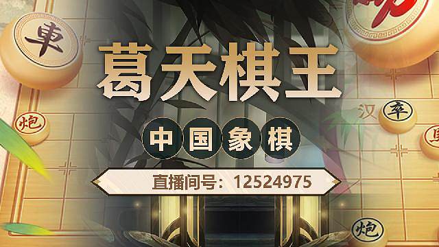 葛天棋王