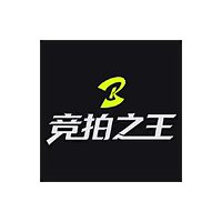 竞拍之王