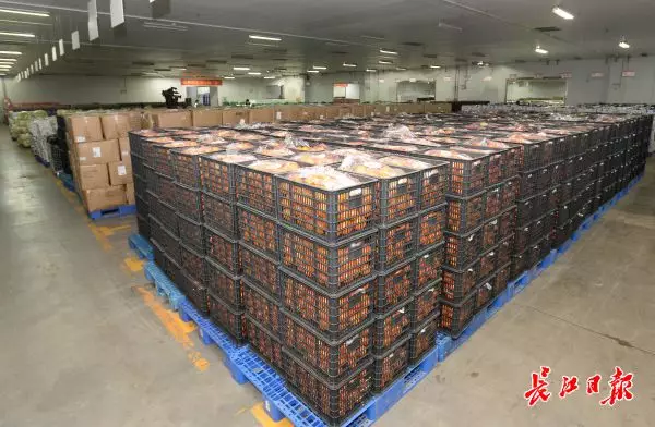 王忠林：确保群众生活物资供应充足、价格稳定