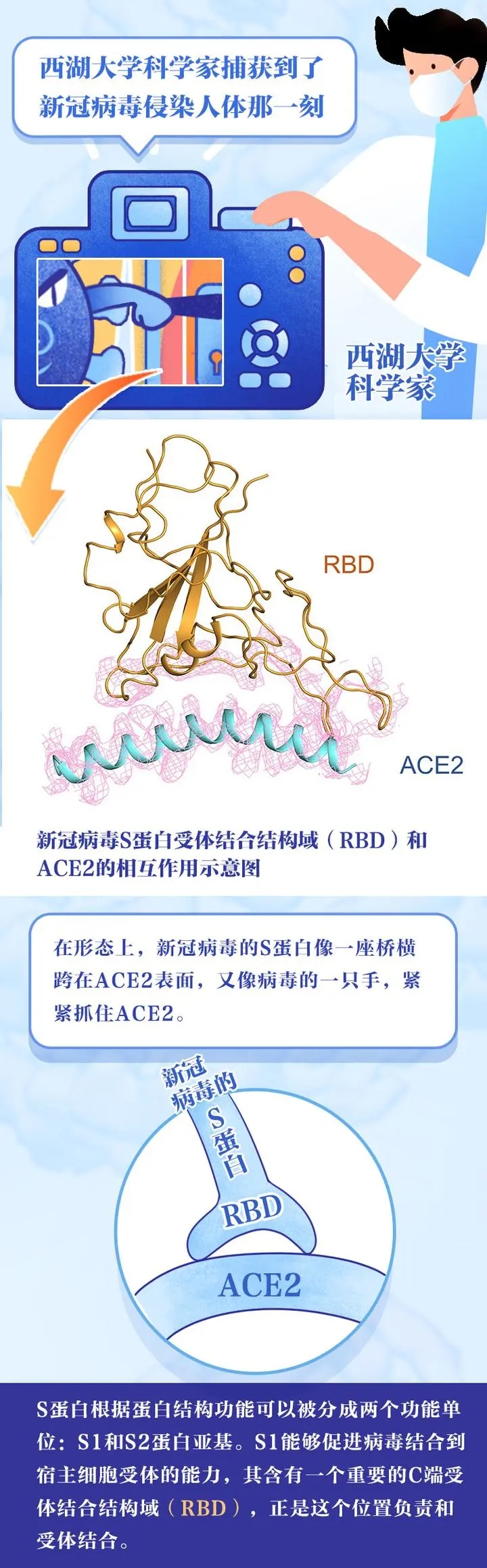 官宣！浙江第一批疫苗已产生抗体!