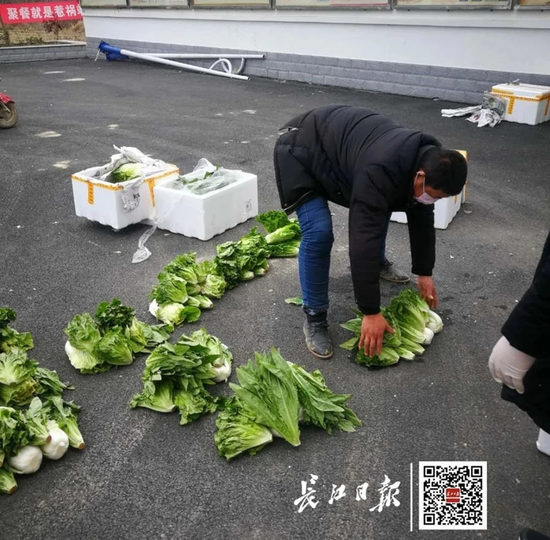 每天300吨蔬菜，免费送到武汉！云南有心了！