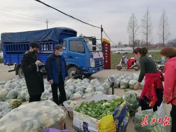 20多种本地菜开始陆续上市，“春淡期”蔬菜供给不断档