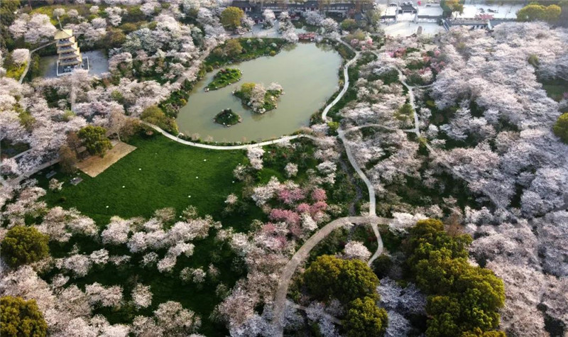 武汉，等待重启（四）