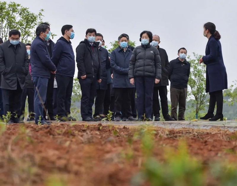 中央指导组：抗疫生产两不误，复工复产保增收