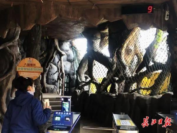 嚴(yán)控入園游客數(shù)量,、游船上座率不高于30%，東湖嚴(yán)格防控對(duì)外開放景區(qū)