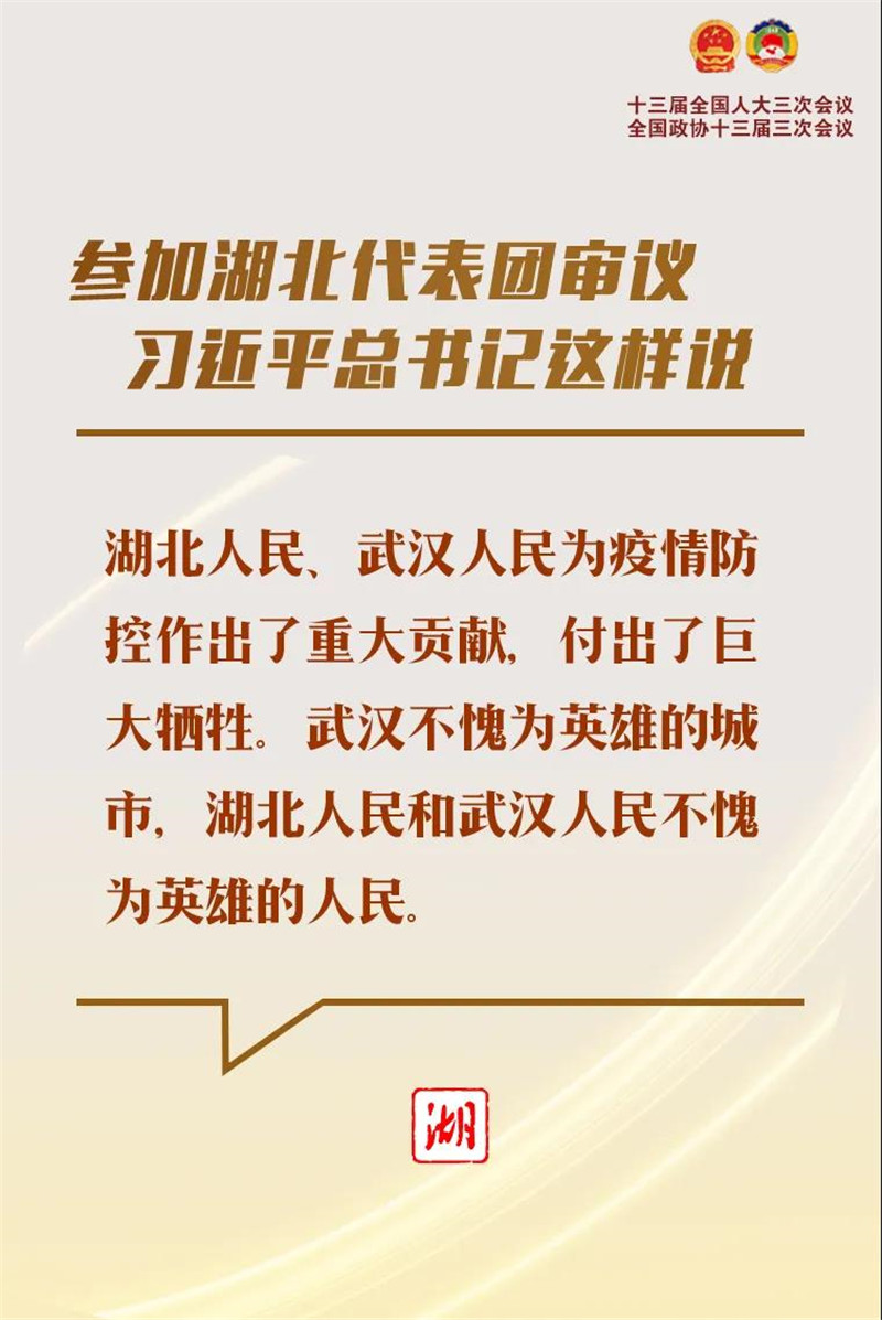 参加湖北代表团审议，习近平总书记这样说