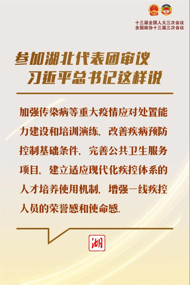 参加湖北代表团审议，习近平总书记这样说