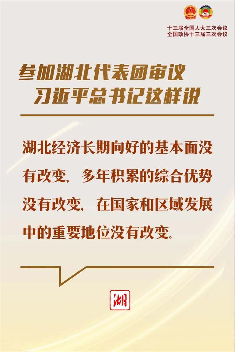 参加湖北代表团审议，习近平总书记这样说