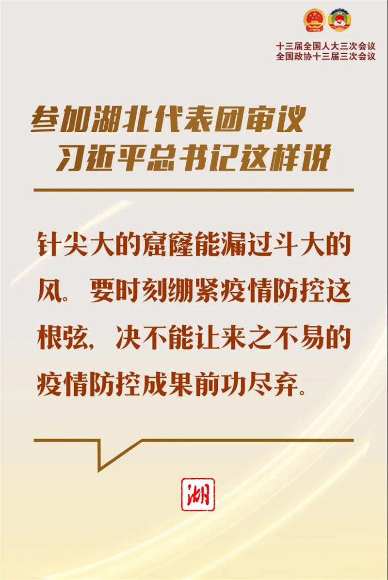 参加湖北代表团审议，习近平总书记这样说