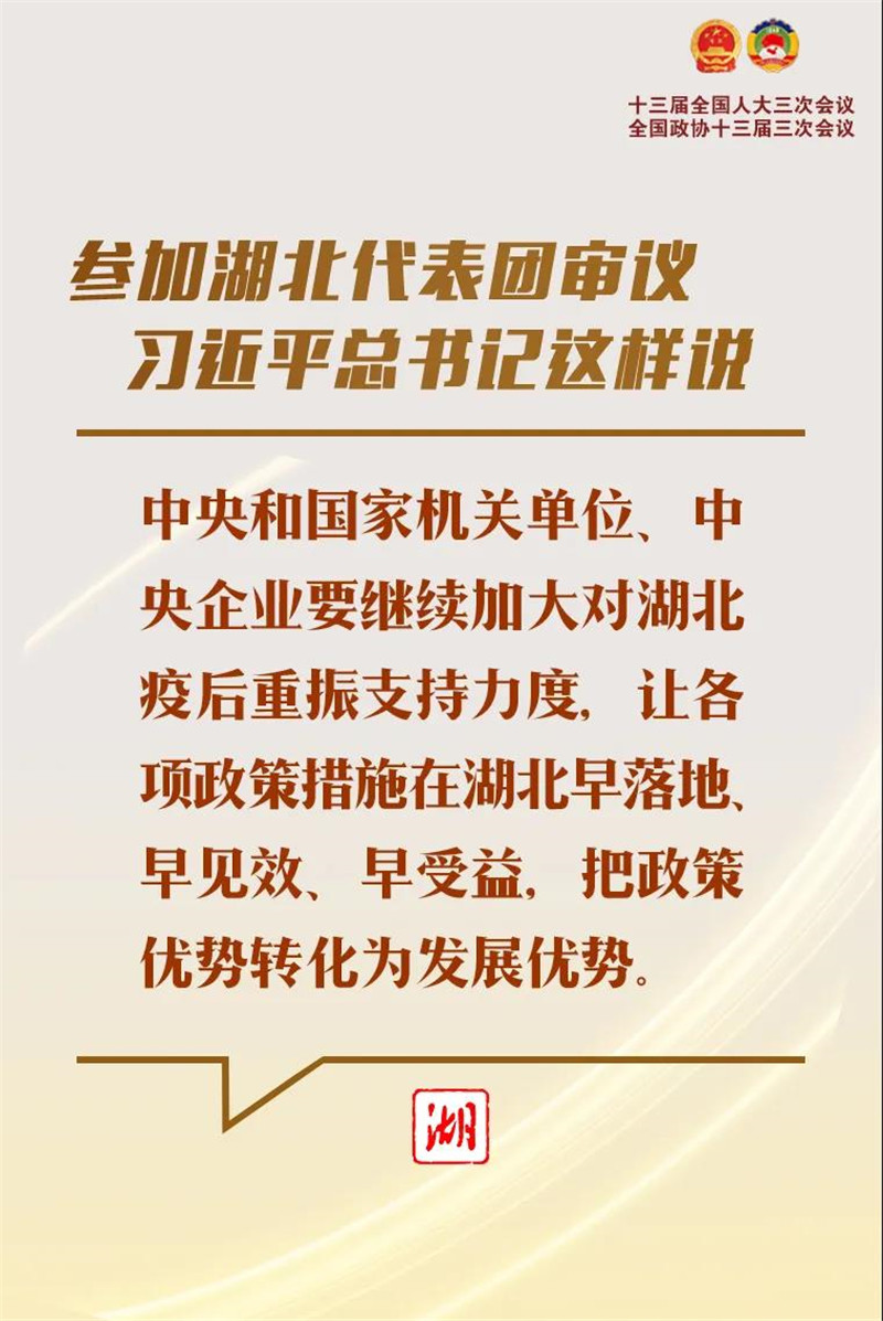 参加湖北代表团审议，习近平总书记这样说