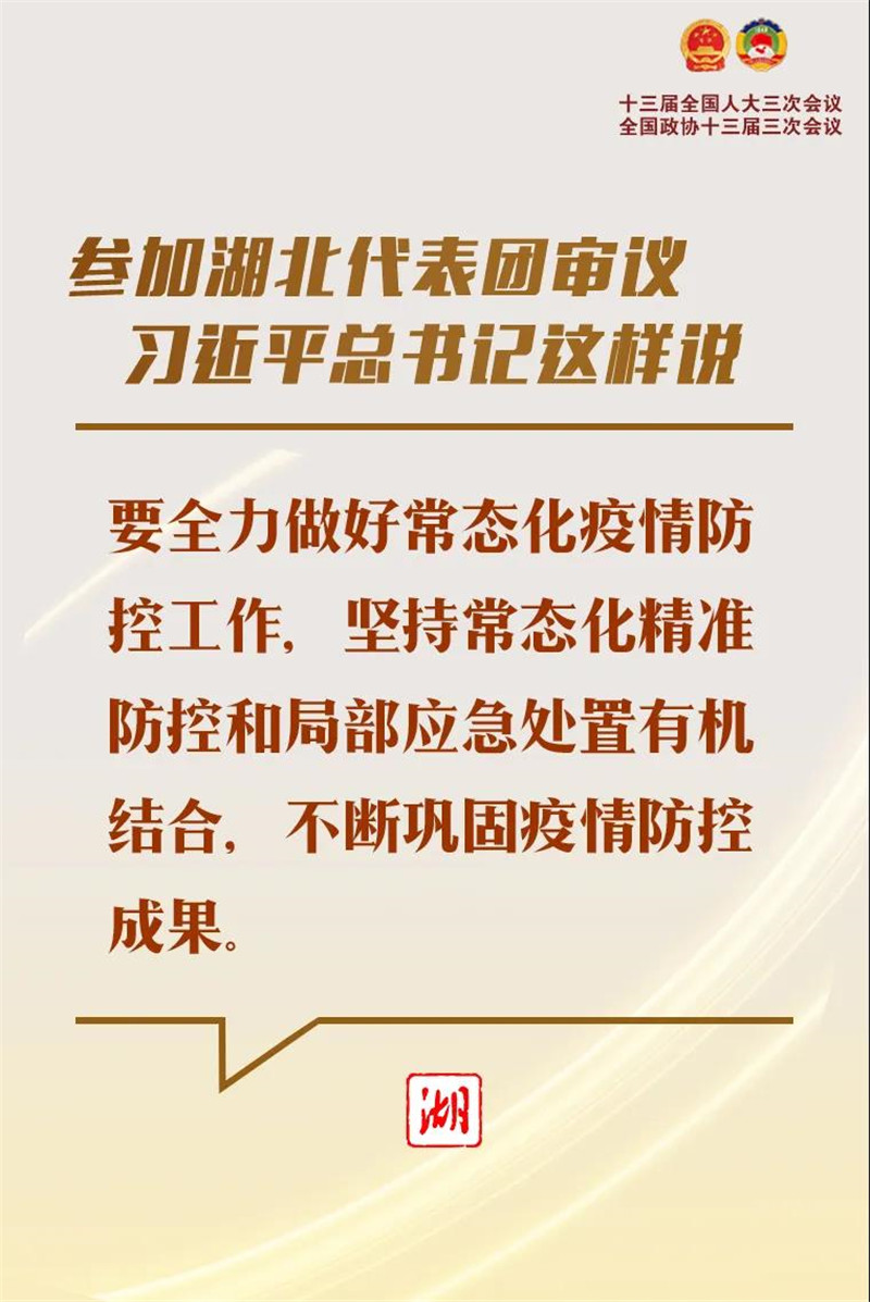 参加湖北代表团审议，习近平总书记这样说