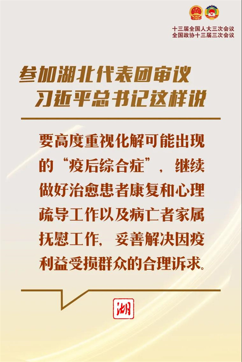 参加湖北代表团审议，习近平总书记这样说