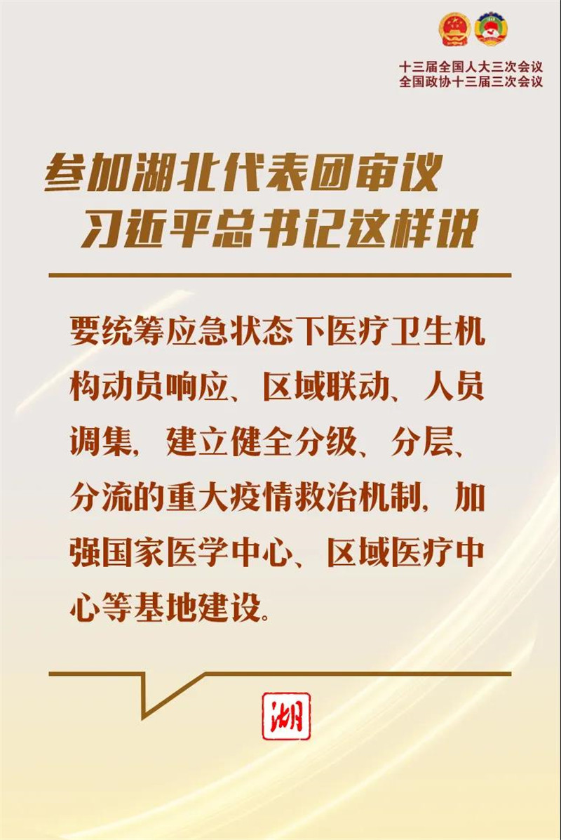 参加湖北代表团审议，习近平总书记这样说