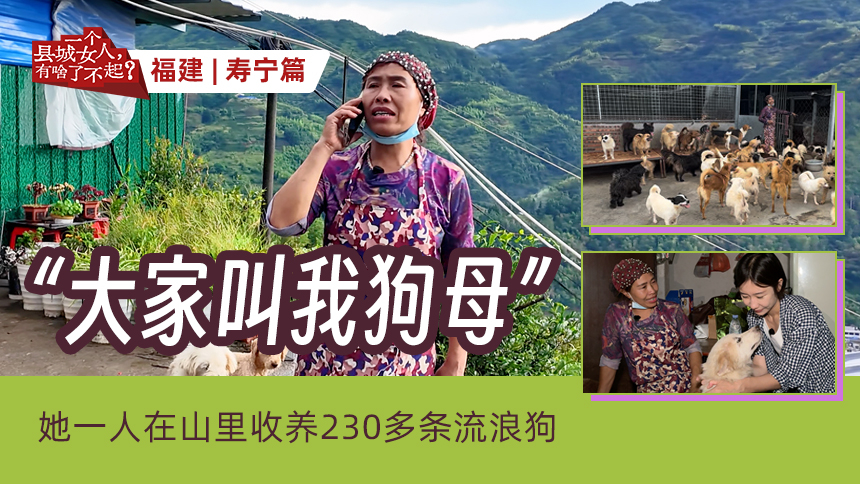 一个县城女人，有啥了不起？第1期：“大家叫我狗母！”她一人在山里，收养230多条流浪狗