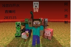 我的世界：猪人塔