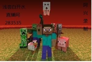 我的世界：全自动刷肉机