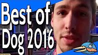 Best of Dog