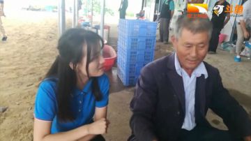 垄上观摩团之稻蛙养殖顶呱呱 2017-08-30 14点场