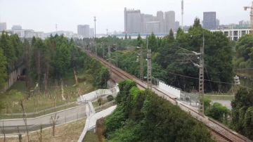 不下雨下午在钱塘江大桥直播！ 2017-08-30 14点场