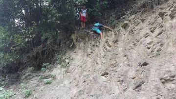 采蘑菇的小男孩 2017-08-31 10点场