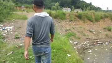 采蘑菇的小男孩 2017-08-31 12点场