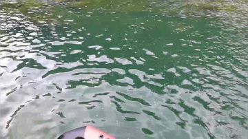 【捕鱼达人】潜水徒手摸鱼 2017-09-01 09点场