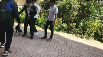 a鬼哥晒脸勇闯FC，毁童年毁三观 2017-09-02 09点场