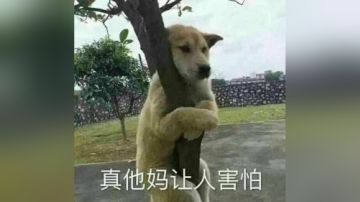 农场躲猫猫偶遇国服神仙，一记乌鸦坐飞机打的众人头皮发麻！