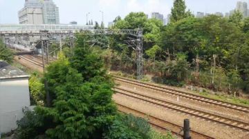 今天下午在城站火车站旁直播！ 2017-09-05 13点场