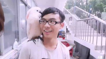 好久没给鸟洗澡了 2017-09-01 17点场