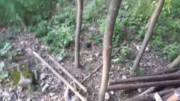 搞山货～～ 2017-09-07 17点场