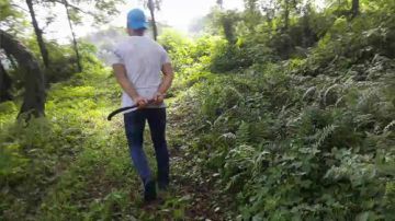 寻迹，正在出货野生甲鱼！ 2017-09-08 13点场