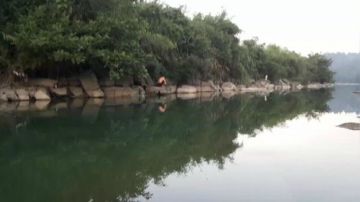 今日硬菜：以卵击石！红烧野生甲鱼！ 2017-09-08 17点场