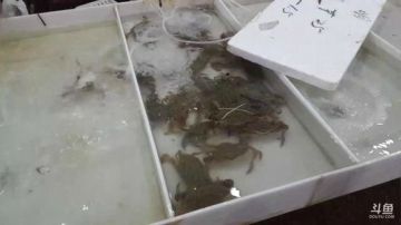 【深夜海鲜食堂】海鲜市场海边看看 2017-09-09 15点场