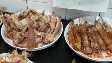 【威海大叔】海鲜计划！25斤皮皮虾 2017-09-09 22点场