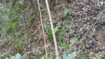 挑战户外生活72小时不关播。 2017-09-12 15点场