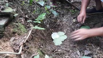 挑战户外生活72小时不关播。 2017-09-12 14点场