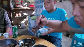 挑蜂蛹了。 2017-09-15 08点场