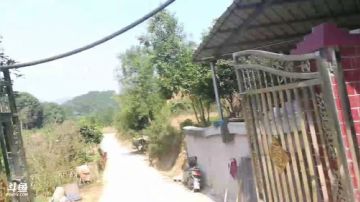 挑蜂蛹了。 2017-09-15 10点场