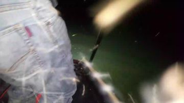 鱼叉插鱼！ 2017-09-18 18点场