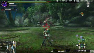 每日狩猎精华9.19 “这是个捕获任务，谢谢～～”