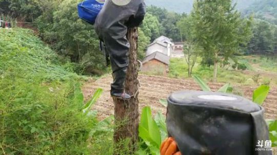 除害，灭杀人峰。 2017-09-21 14点场